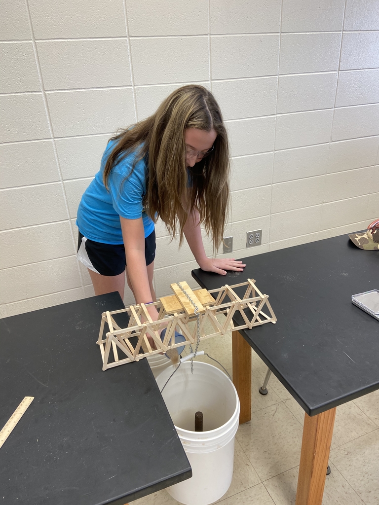 Bridge building